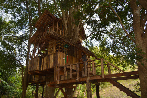 Rabeang Pasak Treehouse Resort. A wonderful resort of 9 unique... (Tree Houses)