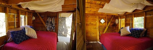 Wild Woods Tree Fort. A rustic treehouse in a peaceful and quiet... (Tree Houses)