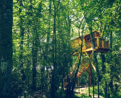 Beigorri Treehouse. A neat and cozy treehouse built 5.5m above... (Tree Houses)