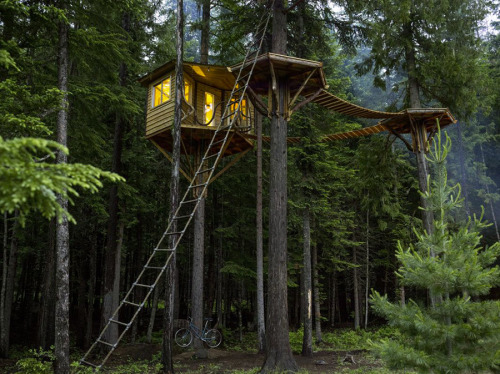 Backyard Treehouse. A treehouse bedroom built around a western... (Tree Houses)