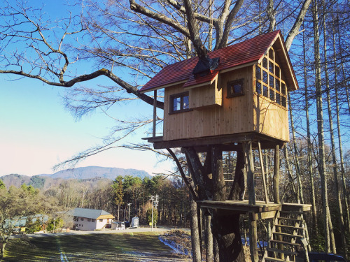 Chamomile Village Treehouse. An A-frame treehouse with lots of... (Tree Houses)