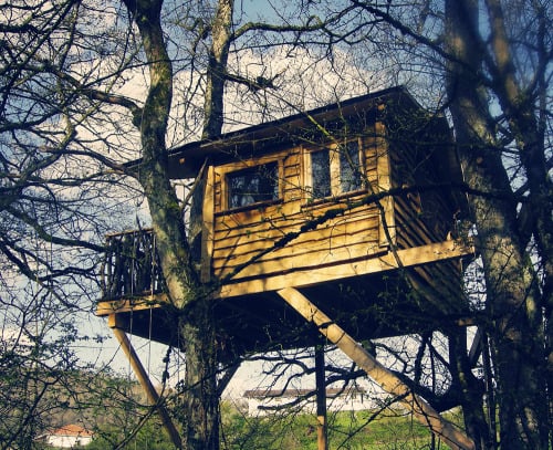 Belea Treehouse. A lovely treehouse suite at Basoa Treehouse... (Tree Houses)