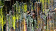 在乌姆普夸国家森林的柱状玄武岩石材，美国俄勒冈州 (© Jaynes Gallery/Danita Delimont) Bing Everyday Wallpaper 2016-09-14