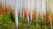 Iron Canyon Trail near Park City, Utah (© Patrick Brandenburg/Tandem Stills + Motion) Bing Everyday Wallpaper 2016-10-01