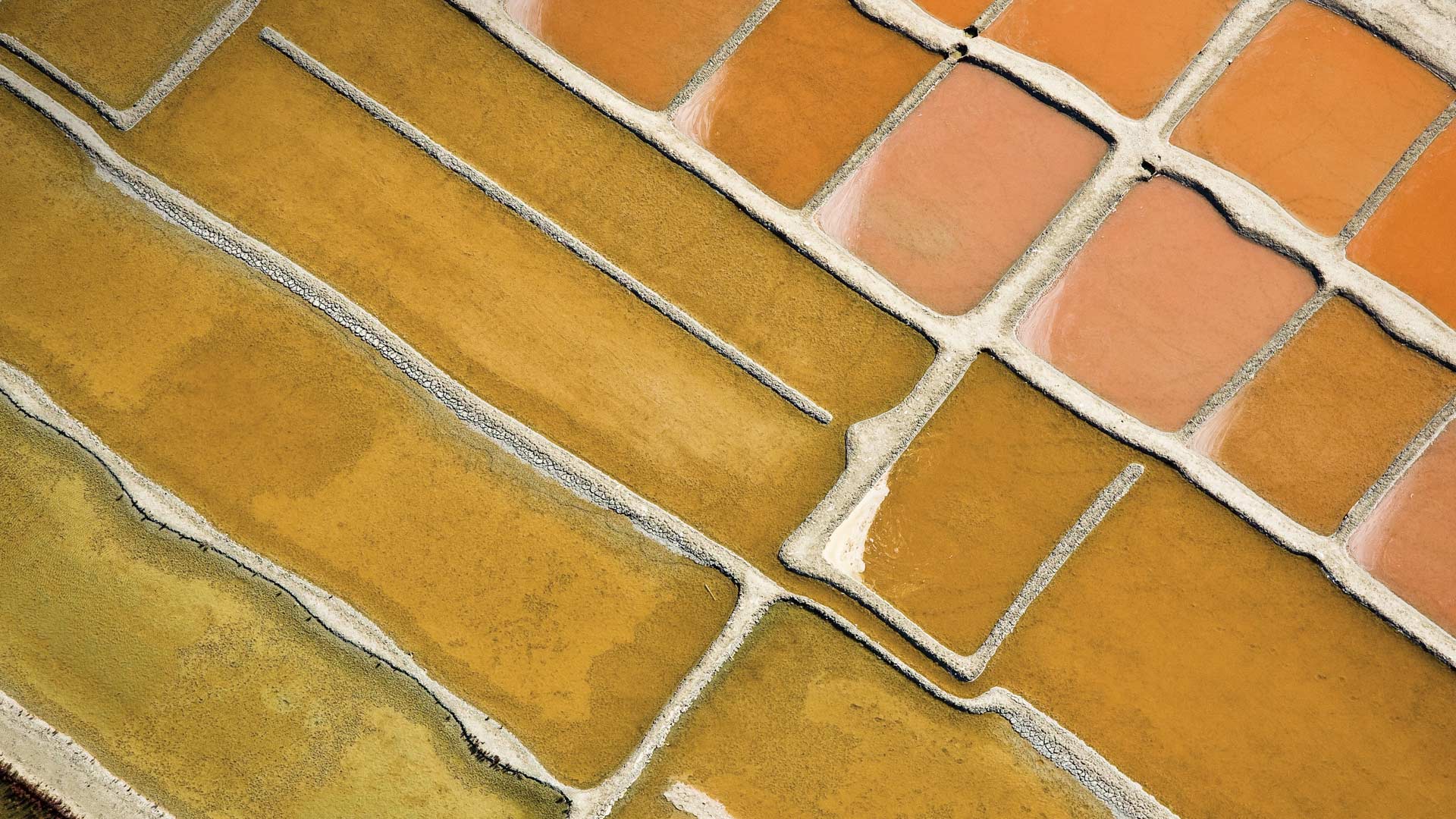 Salt evaporation ponds at Ars-en-Ré, Charente-Maritime, France (© Francis Leroy/hemis.fr/Getty Images) Bing Everyday Wallpaper 2016-10-03, gianqG [Bing Everyday Wall Paper 2016-10-03] url = http://www.bing.com/az/hprichbg/rb/SaltPondsArs_ROW11153816324_1920x1080.jpg