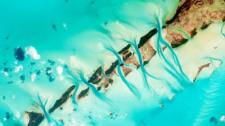 从国际空间站拍摄到的位于大埃克苏马群岛西侧小岛的珊瑚礁，巴哈马 (© NASA) Bing Everyday Wallpaper 2016-10-04