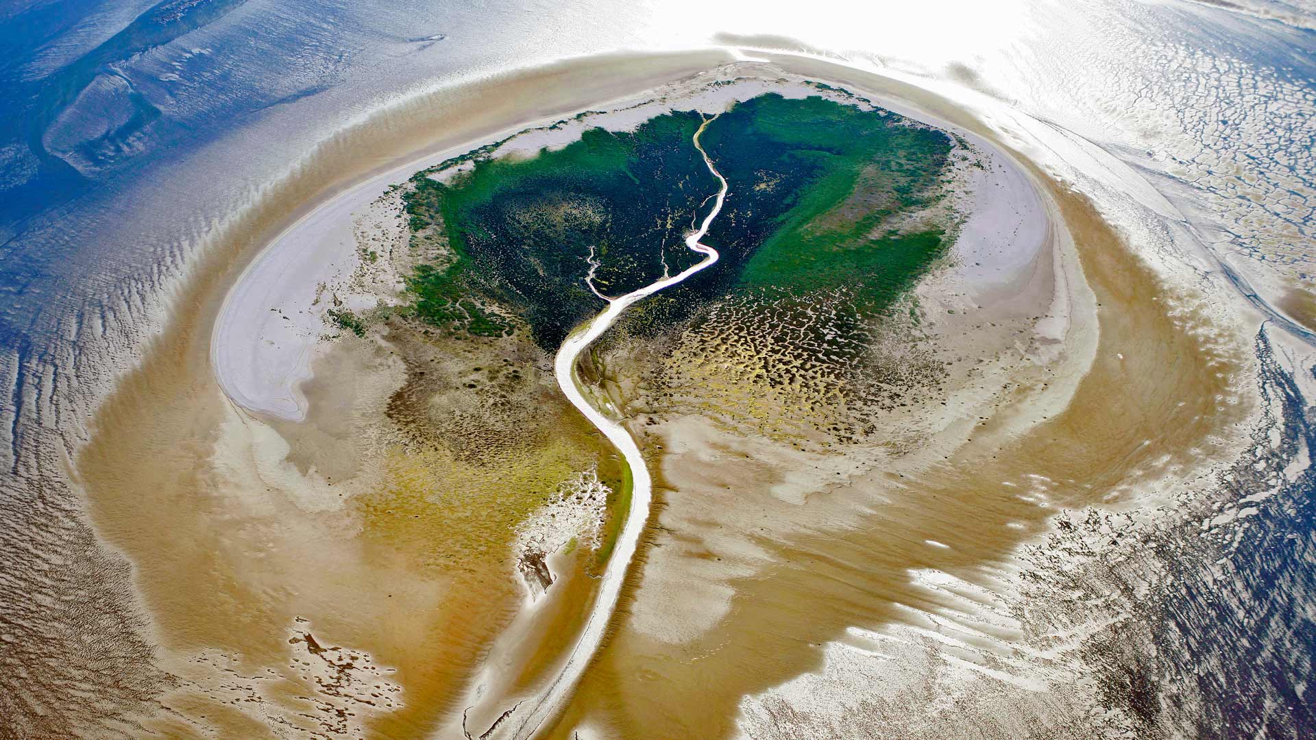Zuiderduintjes in the West Frisian Islands, Netherlands (© Pete Leonard/Getty Images) Bing Everyday Wallpaper 2016-10-09, kuWFIQ [Bing Everyday Wall Paper 2016-10-09] url = http://www.bing.com/az/hprichbg/rb/WaddenSeaIsland_EN-GB12340166416_1920x1080.jpg