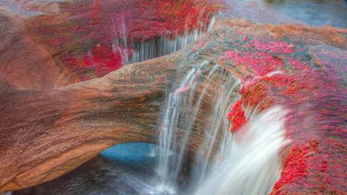 The Caño Cristales River in the Serranía de la Macarena mountains of Colombia (© Tom Till/Alamy) Bing Everyday Wallpaper 2016-10-19
/tmp/UploadBetaHMNnhl [Bing Everyday Wall Paper 2016-10-19] url = http://www.bing.com/az/hprichbg/rb/CanoCristales_EN-US13413731241_1920x1080.jpg

File Size (KB): 332.26 KB
Last Modified: November 26 2021 17:58:18
