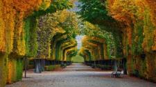 ｢シェーンブルン宮殿の庭園｣オーストリア, ウィーン  (© badahos/Shutterstock) Bing Everyday Wallpaper 2016-10-23