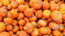 Sunshine squash at a farm produce market (© 167/Pete Ryan/Ocean/Corbis) Bing Everyday Wallpaper 2016-11-01