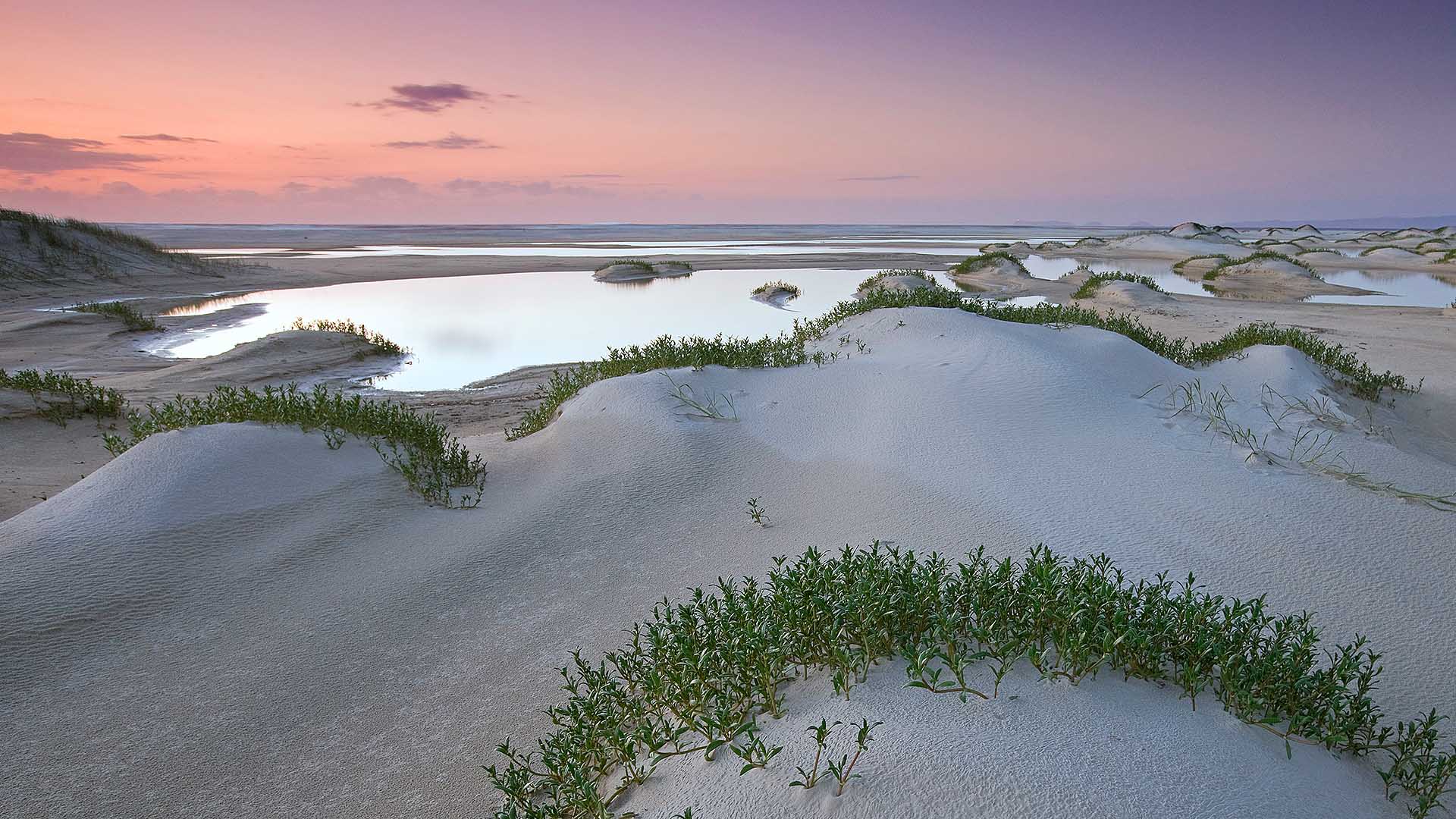 Sand forming a new landscape on Fraser Island, Queensland, Australia (© Peter Essick/Aurora Photos) Bing Everyday Wallpaper 2016-11-02, EgdEw3 [Bing Everyday Wall Paper 2016-11-02] url = http://www.bing.com/az/hprichbg/rb/FraserSand_EN-AU9047424923_1920x1080.jpg