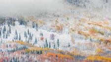 ｢フェアバンクスの雪｣アメリカ, アラスカ  (© Patrick Endres/plainpicture) Bing Everyday Wallpaper 2016-11-06