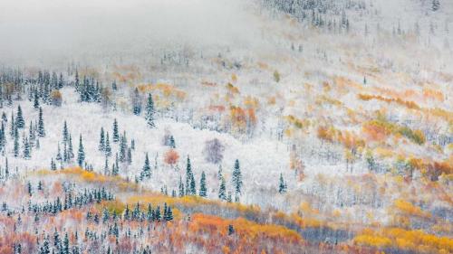 ｢フェアバンクスの雪｣アメリカ, アラスカ  (© Patrick Endres/plainpicture) Bing Everyday Wallpaper 2016-11-06
/tmp/UploadBetalFJR9V [Bing Everyday Wall Paper 2016-11-06] url = http://www.bing.com/az/hprichbg/rb/FairbanksSnow_JA-JP10522564472_1920x1080.jpg

File Size (KB): 328.2 KB
Last Modified: November 26 2021 18:04:50
