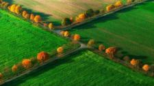 Nottuln, Münsterland, Nordrhein-Westfalen, Deutschland (© Hans Blossey/age fotostock) Bing Everyday Wallpaper 2016-11-07