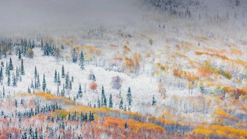 Early snowfall near Fairbanks, Alaska (© Patrick Endres/plainpicture) Bing Everyday Wallpaper 2016-11-08
/tmp/UploadBetaBBeVId [Bing Everyday Wall Paper 2016-11-08] url = http://www.bing.com/az/hprichbg/rb/FairbanksSnow_EN-US10892298499_1920x1080.jpg

File Size (KB): 328 KB
Last Modified: November 26 2021 18:03:55
