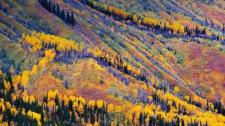 Fall colors near Toad River, British Columbia, Canada (© Yves Marcoux/Design Pics) Bing Everyday Wallpaper 2016-11-15