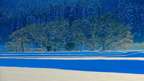 ｢五泉市の雪景色｣新潟 (© JTB Photo/UIG via Getty Images) Bing Everyday Wallpaper 2016-11-24
/tmp/UploadBetaIYm2f0 [Bing Everyday Wall Paper 2016-11-24] url = http://www.bing.com/az/hprichbg/rb/NigataShosetsu_JA-JP11037892444_1920x1080.jpg

File Size (KB): 244.98 KB
Last Modified: November 26 2021 18:02:09
