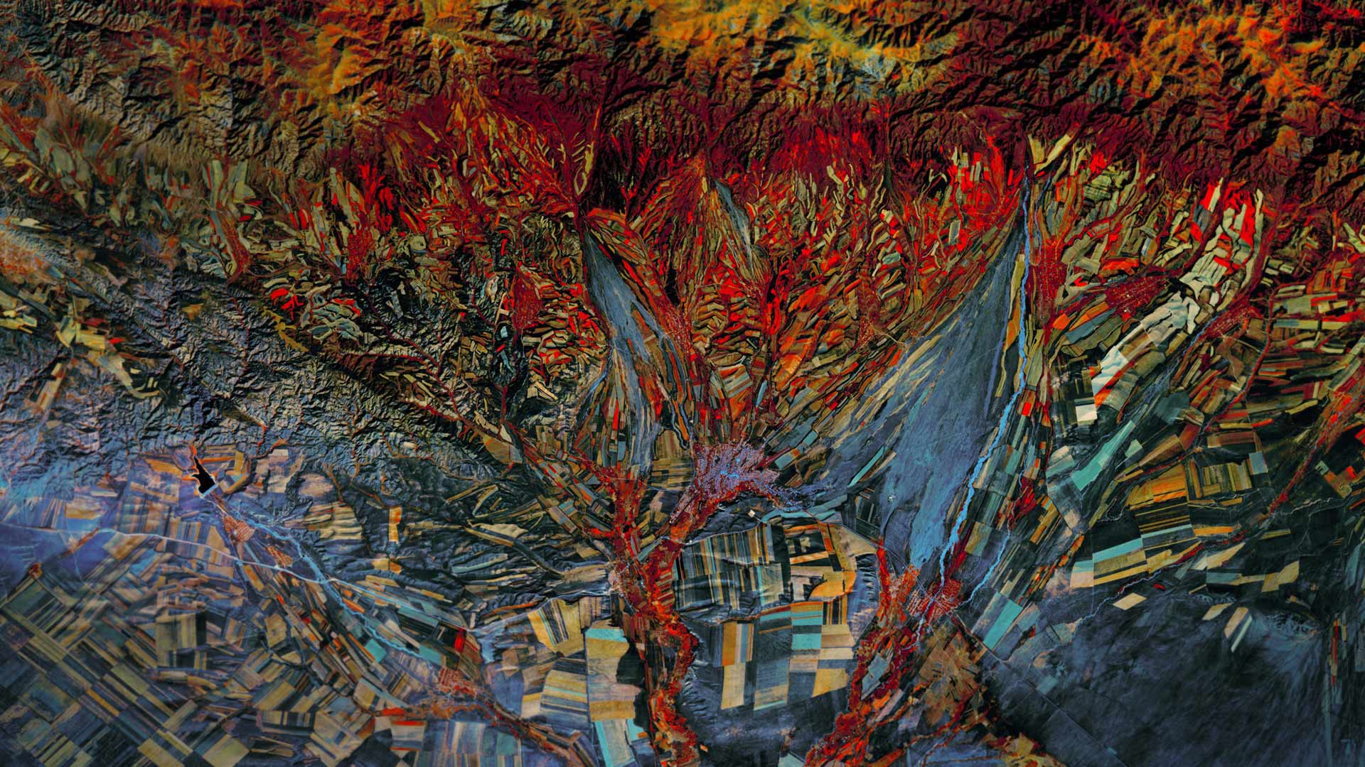 Felder in Kasachstan, Infrarot-Aufnahme des Satelliten Landsat 8 (© NASA) Bing Everyday Wallpaper 2016-12-05, xgtEAT [Bing Everyday Wall Paper 2016-12-05] url = http://www.bing.com/az/hprichbg/rb/KazakhstanNasa_DE-DE8198656979_1920x1080.jpg