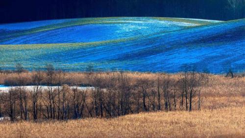 巴尔切沃村庄的近郊，奥尔什丁市，波兰 (© jesiotr9/Getty Images) Bing Everyday Wallpaper 2016-12-11
/tmp/UploadBeta5cOoZI [Bing Everyday Wall Paper 2016-12-11] url = http://www.bing.com/az/hprichbg/rb/WarmiaPoland_ZH-CN13324541925_1920x1080.jpg

File Size (KB): 334.32 KB
Last Modified: November 26 2021 17:22:38
