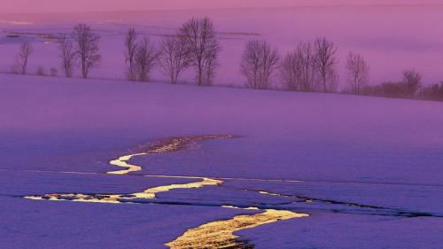 雪地里的日落，瑞士 (© Alexander Dragunov/500px) Bing Everyday Wallpaper 2016-12-16
/tmp/UploadBeta2HkseY [Bing Everyday Wall Paper 2016-12-16] url = http://www.bing.com/az/hprichbg/rb/SwitzerlandSunset_ZH-CN8198492507_1920x1080.jpg

File Size (KB): 300.3 KB
Last Modified: November 26 2021 17:22:24
