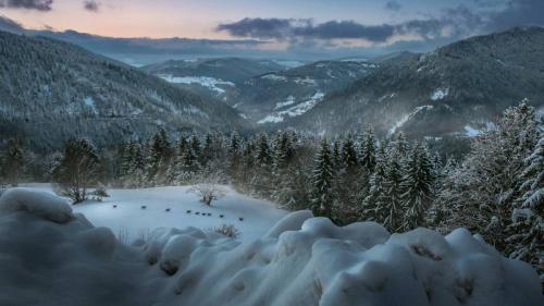 Rehe in der Abenddämmerung nahe Herrischried, Schwarzwald, Baden-Württemberg, Deutschland (© Christian Wesner/500px) Bing Everyday Wallpaper 2017-01-02
/tmp/UploadBeta4W4CQn [Bing Everyday Wall Paper 2017-01-02] url = http://www.bing.com/az/hprichbg/rb/ReheDaemmerung_DE-DE10994094629_1920x1080.jpg

File Size (KB): 322.43 KB
Last Modified: November 26 2021 17:16:27
