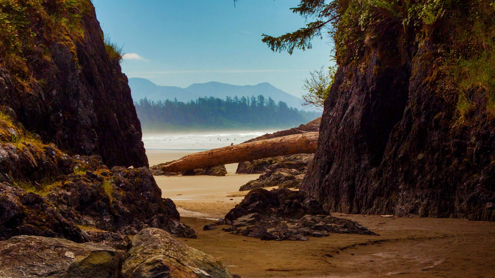 Strand bei Tofino, Vancouver Island, British Columbia, Kanada (© Cavan Images/Offset) Bing Everyday Wallpaper 2017-02-10, T1fMPN [Bing Everyday Wall Paper 2017-02-10] url = http://www.bing.com/az/hprichbg/rb/TofinoBeach_DE-DE10954116569_1920x1080.jpg