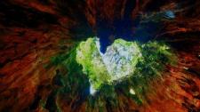 Wilson Stump on Yakushima Island, Japan (© Mitsushi Okada/Getty Images) Bing Everyday Wallpaper 2017-02-14