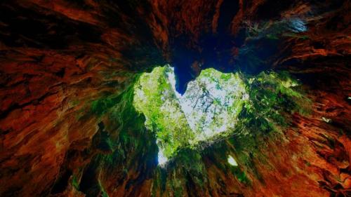 Wilson Stump on Yakushima Island, Japan (© Mitsushi Okada/Getty Images) Bing Everyday Wallpaper 2017-02-14
/tmp/UploadBetaWGkTN6 [Bing Everyday Wall Paper 2017-02-14] url = http://www.bing.com/az/hprichbg/rb/WilsonStump_EN-AU9517346067_1920x1080.jpg

File Size (KB): 332.13 KB
Last Modified: November 26 2021 17:09:57
