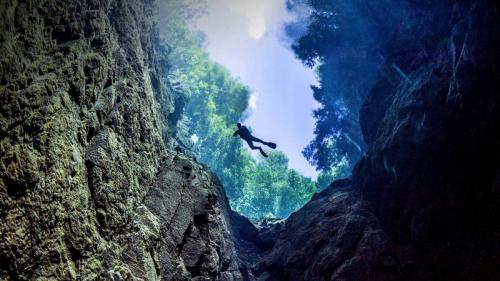 Diver in Lagoa Misteriosa cenote, Bonito, Mato Grosso do Sul, Brazil (© Giordano Cipriani/Getty Images) Bing Everyday Wallpaper 2017-02-27
/tmp/UploadBetayuYUJb [Bing Everyday Wall Paper 2017-02-27] url = http://www.bing.com/az/hprichbg/rb/LagoaMisteriosa_ROW14046848388_1920x1080.jpg

File Size (KB): 254.11 KB
Last Modified: November 26 2021 17:16:17
