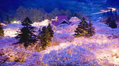 ｢高遠の桜｣長野, 高遠城址公園 (© JTB MEDIA CREATION, Inc./JTB MEDIA CREATION, Inc./Alamy) Bing Everyday Wallpaper 2017-03-24
/tmp/UploadBetaFNi2QS [Bing Everyday Wall Paper 2017-03-24] url = http://www.bing.com/az/hprichbg/rb/SakuraHajimari_JA-JP13278705442_1920x1080.jpg

File Size (KB): 256.01 KB
Last Modified: November 26 2021 17:17:07
