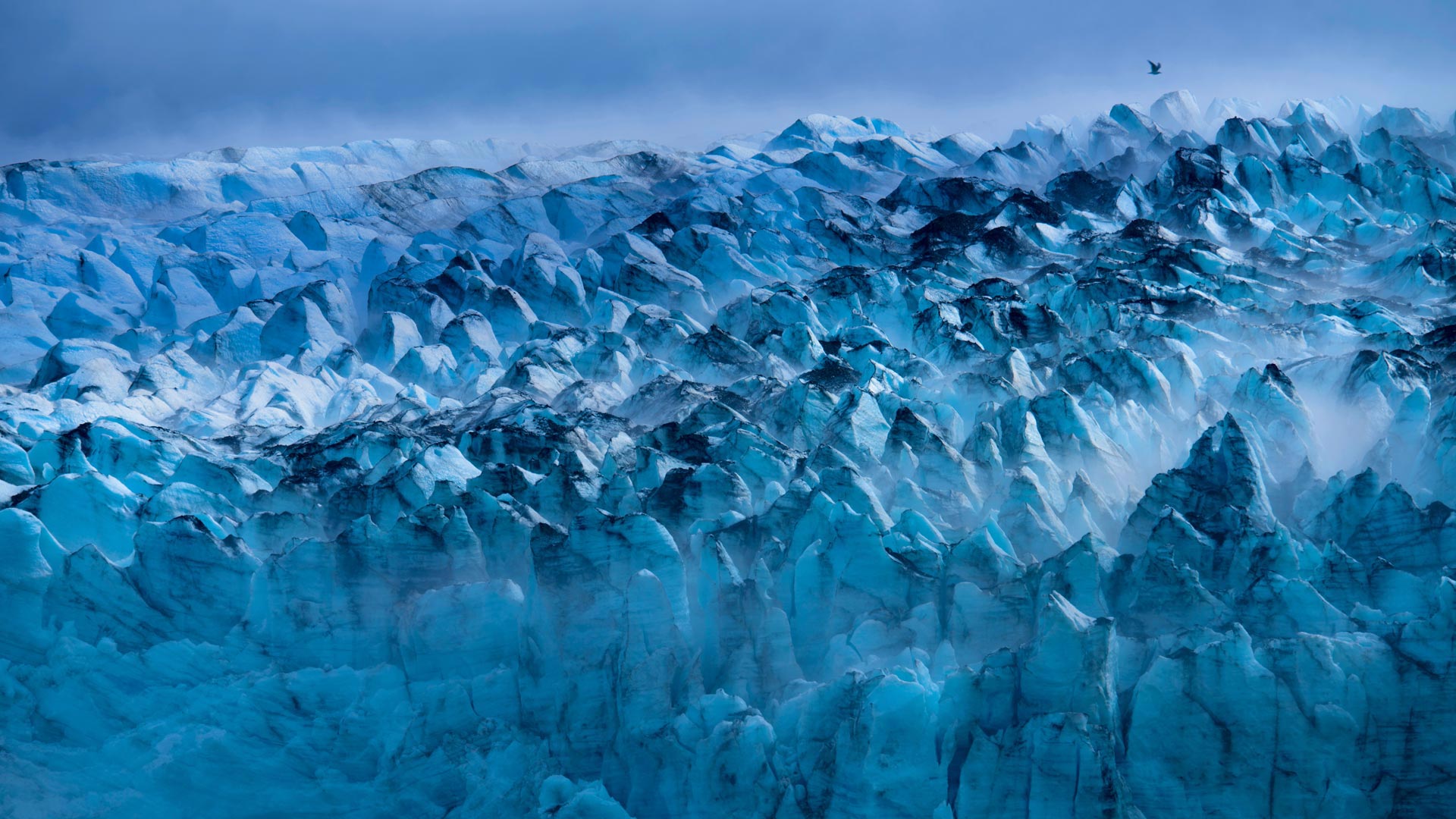 ｢ランプルー氷河｣米国, アラスカ州 (© Michael Melford/Getty Images) Bing Everyday Wallpaper 2017-04-15, hc0eV5 [Bing Everyday Wall Paper 2017-04-15] url = http://www.bing.com/az/hprichbg/rb/GlacierBay_JA-JP14938982506_1920x1080.jpg