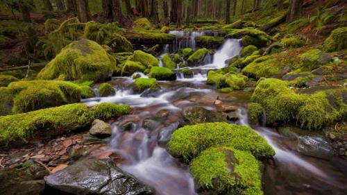 Sol Duc Valley region of Olympic National Park, Washington (© Ray Green/500px) Bing Everyday Wallpaper 2017-04-24
/tmp/UploadBetamDIAqI [Bing Everyday Wall Paper 2017-04-24] url = http://www.bing.com/az/hprichbg/rb/SolDucValley_EN-US10774187238_1920x1080.jpg

File Size (KB): 331.96 KB
Last Modified: November 26 2021 17:09:45
