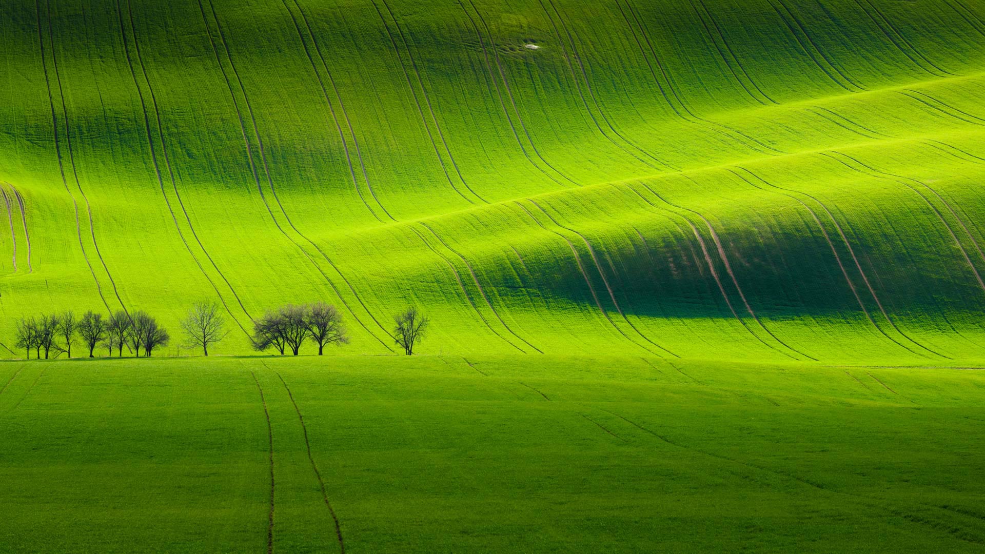 基约夫附近的南摩拉维亚风景，捷克共和国  (© Tomas Vocelka/500px) Bing Everyday Wallpaper 2017-04-30, pykt0l [Bing Everyday Wall Paper 2017-04-30] url = http://www.bing.com/az/hprichbg/rb/SouthMoravian_ZH-CN13384331455_1920x1080.jpg