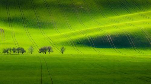 基约夫附近的南摩拉维亚风景，捷克共和国  (© Tomas Vocelka/500px) Bing Everyday Wallpaper 2017-04-30
/tmp/UploadBetapykt0l [Bing Everyday Wall Paper 2017-04-30] url = http://www.bing.com/az/hprichbg/rb/SouthMoravian_ZH-CN13384331455_1920x1080.jpg

File Size (KB): 328.4 KB
Last Modified: November 26 2021 17:09:47
