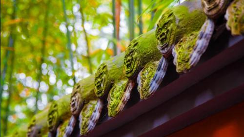 【今日立夏】武侯祠内的红墙绿竹林，中国成都 (© Eastimages/Getty Images) Bing Everyday Wallpaper 2017-05-05
/tmp/UploadBeta4QQsiO [Bing Everyday Wall Paper 2017-05-05] url = http://www.bing.com/az/hprichbg/rb/Mythicalwildanimal_ZH-CN10176872488_1920x1080.jpg

File Size (KB): 317.79 KB
Last Modified: November 26 2021 17:16:55
