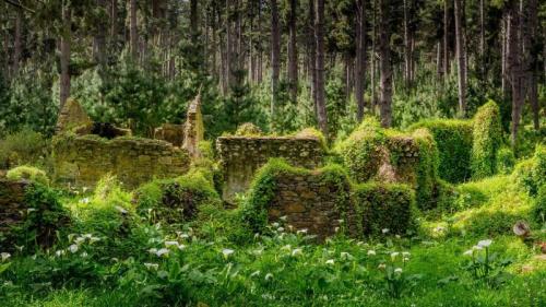 Remnants of buildings in forest, Fleurieu Peninsula, South Australia (© Scott Olver/500px) Bing Everyday Wallpaper 2017-05-08
/tmp/UploadBetannCyUD [Bing Everyday Wall Paper 2017-05-08] url = http://www.bing.com/az/hprichbg/rb/CottageRuins_EN-AU8639296998_1920x1080.jpg

File Size (KB): 317.6 KB
Last Modified: November 26 2021 17:16:57

