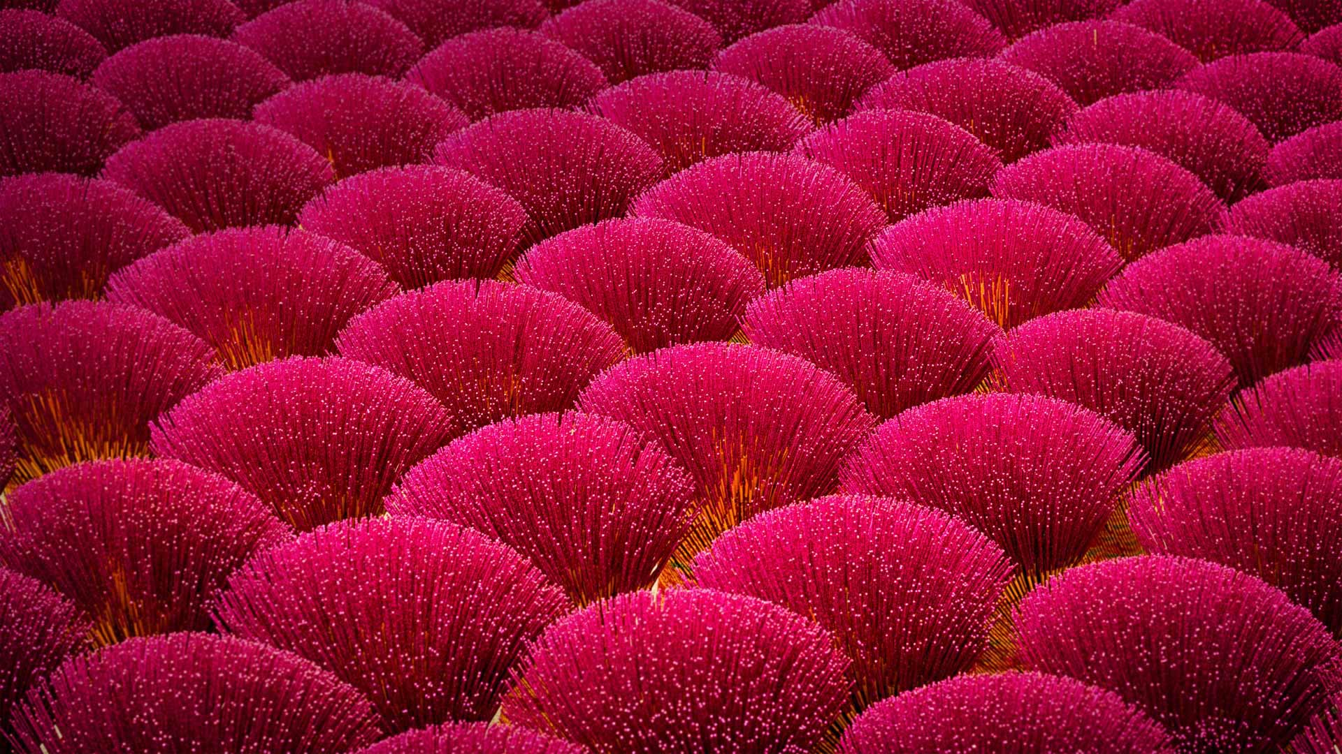 江门市新会区制香厂，中国广东省 (© Wallace Cheah/500px) Bing Everyday Wallpaper 2017-05-15, O78hac [Bing Everyday Wall Paper 2017-05-15] url = http://www.bing.com/az/hprichbg/rb/IncenseFactory_ZH-CN12321813125_1920x1080.jpg