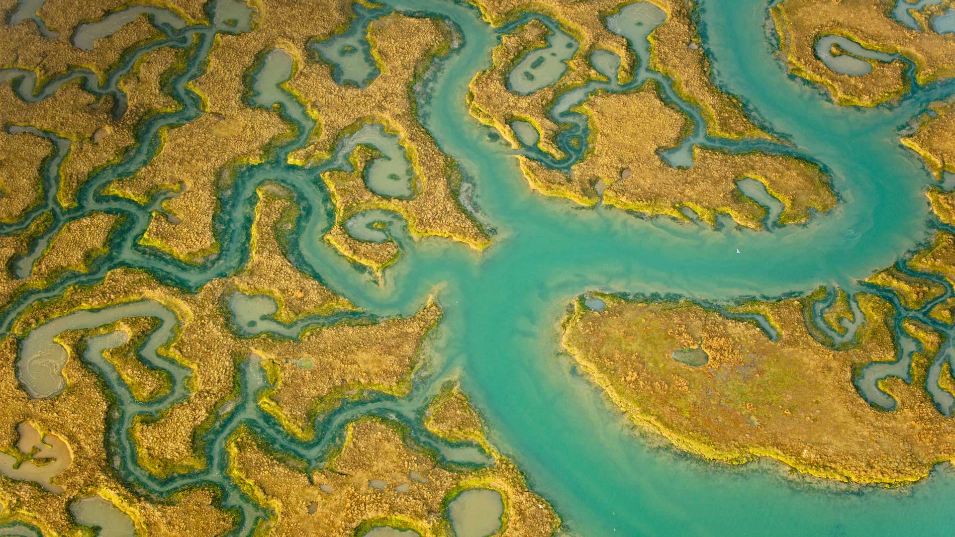 Aerial view of salt marsh at Abbotts Hall Farm, Essex (© Terry Whittaker/2020VISION/Minden Pictures) Bing Everyday Wallpaper 2017-05-16, kaCVqx [Bing Everyday Wall Paper 2017-05-16] url = http://www.bing.com/az/hprichbg/rb/SaltMarsh_EN-GB7833562412_1920x1080.jpg