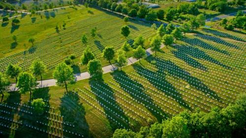 Arlington National Cemetery in Virginia (© Hoberman/age fotostock) Bing Everyday Wallpaper 2017-05-30
/tmp/UploadBetaMxgbOk [Bing Everyday Wall Paper 2017-05-30] url = http://www.bing.com/az/hprichbg/rb/ArlingtonDrone_EN-US12840808174_1920x1080.jpg

File Size (KB): 331.59 KB
Last Modified: November 26 2021 17:16:55
