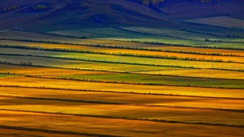 Hulunbuir grasslands, Inner Mongolia, China (© Sino Images/Getty Images) Bing Everyday Wallpaper 2017-08-06
/tmp/UploadBetaZbFw8m [Bing Everyday Wall Paper 2017-08-06] url = http://www.bing.com/az/hprichbg/rb/HulunbuirPrairie_EN-AU10970548280_1920x1080.jpg

File Size (KB): 328.7 KB
Last Modified: November 26 2021 17:21:34
