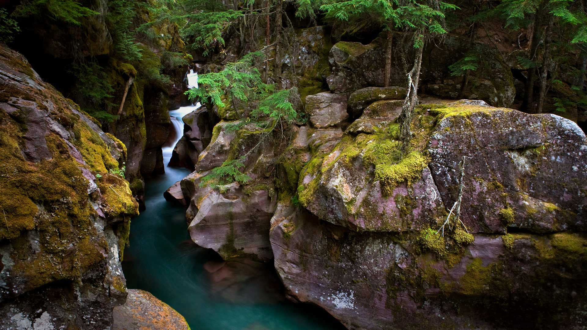 Avalanche Creek im Glacier-Nationalpark, Montana, USA (© Ian Shive/Tandem Stills + Motion) Bing Everyday Wallpaper 2017-08-14, REI2db [Bing Everyday Wall Paper 2017-08-14] url = http://www.bing.com/az/hprichbg/rb/AvalancheCreek_DE-DE9065774002_1920x1080.jpg