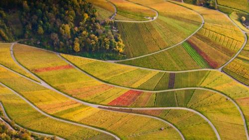 ｢ローゼンベルクのワイン畑｣ドイツ, バーデン＝ヴュルテンベルク州 (© Werner Dieterich/plainpicture) Bing Everyday Wallpaper 2017-09-19
/tmp/UploadBetam2geBS [Bing Everyday Wall Paper 2017-09-19] url = http://www.bing.com/az/hprichbg/rb/RotenbergVineyards_JA-JP11270850012_1920x1080.jpg

File Size (KB): 333.72 KB
Last Modified: November 26 2021 17:21:50
