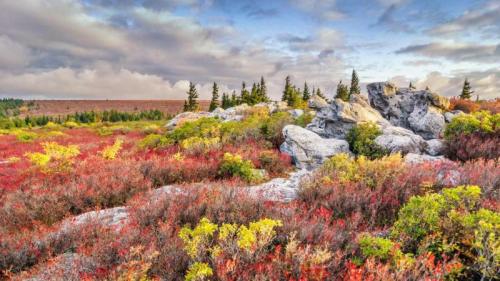 多利草地荒野内熊岩保护区的秋景，美国西弗吉尼亚州 (© Anthony Heflin/500px) Bing Everyday Wallpaper 2017-09-22
/tmp/UploadBetagMuAW0 [Bing Everyday Wall Paper 2017-09-22] url = http://www.bing.com/az/hprichbg/rb/DollySods_ZH-CN10617200330_1920x1080.jpg

File Size (KB): 328.04 KB
Last Modified: November 26 2021 17:21:47
