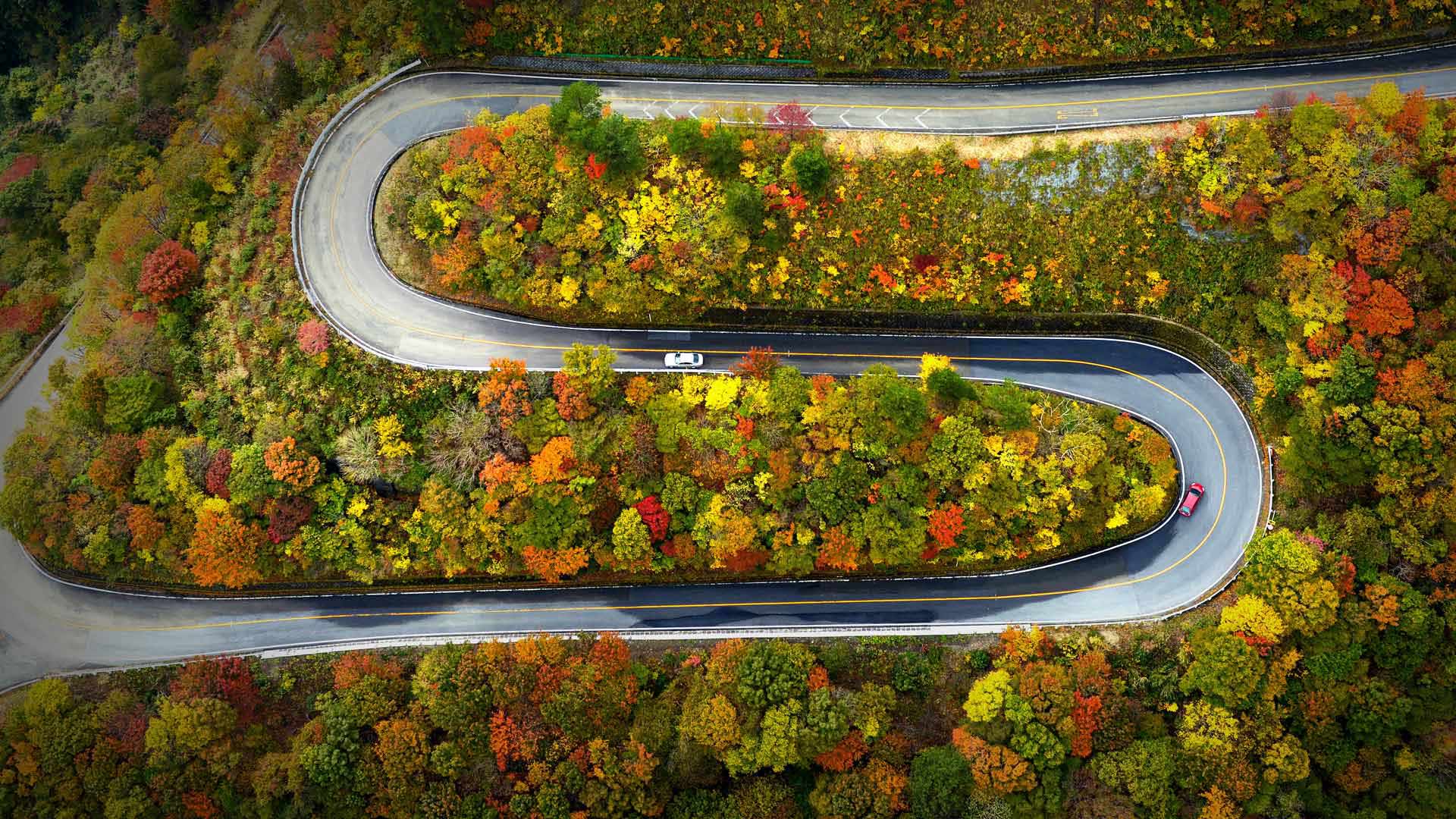Autumn color on the Mount Ibuki Driveway in Maibara, Shiga, Japan (© The Asahi Shimbun/Getty Images) Bing Everyday Wallpaper 2017-09-29, Fqoy4E [Bing Everyday Wall Paper 2017-09-29] url = http://www.bing.com/az/hprichbg/rb/MtIbukiyama_EN-US6882861958_1920x1080.jpg
