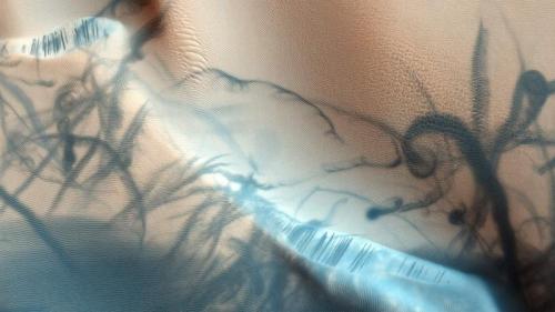 Dust devil trails on the surface of Mars (© NASA/JPL/University of Arizona) Bing Everyday Wallpaper 2017-10-07
/tmp/UploadBeta0X4IDb [Bing Everyday Wall Paper 2017-10-07] url = http://www.bing.com/az/hprichbg/rb/MarsTattoo_EN-AU9798973999_1920x1080.jpg

File Size (KB): 338.53 KB
Last Modified: November 26 2021 17:21:38
