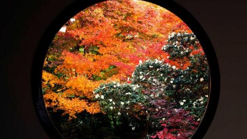 ｢悟りの窓の紅葉｣京都, 源光庵  (© JTB MEDIA CREATION, Inc./Alamy Stock Photo) Bing Everyday Wallpaper 2017-10-23
/tmp/UploadBetaVxnIlQ [Bing Everyday Wall Paper 2017-10-23] url = http://www.bing.com/az/hprichbg/rb/Genkoan_JA-JP10253895815_1920x1080.jpg

File Size (KB): 319.61 KB
Last Modified: November 26 2021 17:21:39
