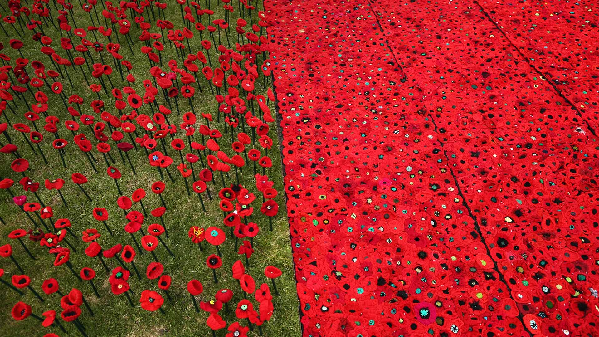 A field of knitted poppies at the RHS Chelsea Flower Show in 2016 (© Dan Kitwood/Getty Images) Bing Everyday Wallpaper 2017-11-11, wlhtbu [Bing Everyday Wall Paper 2017-11-11] url = http://www.bing.com/az/hprichbg/rb/KnittedPoppies_EN-GB11009515775_1920x1080.jpg