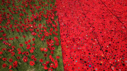 A field of knitted poppies at the RHS Chelsea Flower Show in 2016 (© Dan Kitwood/Getty Images) Bing Everyday Wallpaper 2017-11-11
/tmp/UploadBetawlhtbu [Bing Everyday Wall Paper 2017-11-11] url = http://www.bing.com/az/hprichbg/rb/KnittedPoppies_EN-GB11009515775_1920x1080.jpg

File Size (KB): 286 KB
Last Modified: November 26 2021 17:21:44
