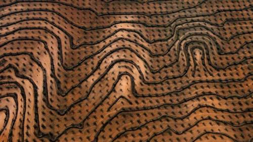 ｢オリーブ園｣チュニジア, ザグアン (© Yann Arthus-Bertrand/Getty Images) Bing Everyday Wallpaper 2017-11-12
/tmp/UploadBetabw8day [Bing Everyday Wall Paper 2017-11-12] url = http://www.bing.com/az/hprichbg/rb/OlivesTunisia_JA-JP12251908561_1920x1080.jpg

File Size (KB): 329.8 KB
Last Modified: November 26 2021 17:21:42
