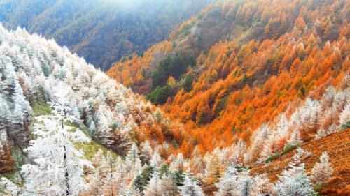 Larch forest near Matsumoto, Japan (© Mitsushi Okada/orion/Getty Images) Bing Everyday Wallpaper 2017-11-21
/tmp/UploadBetaE7MsJG [Bing Everyday Wall Paper 2017-11-21] url = http://www.bing.com/az/hprichbg/rb/NaganoWinter_ROW12832165121_1920x1080.jpg

File Size (KB): 250.14 KB
Last Modified: November 26 2021 17:21:41
